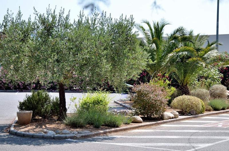 Ibis Budget Frejus Capitou Dış mekan fotoğraf